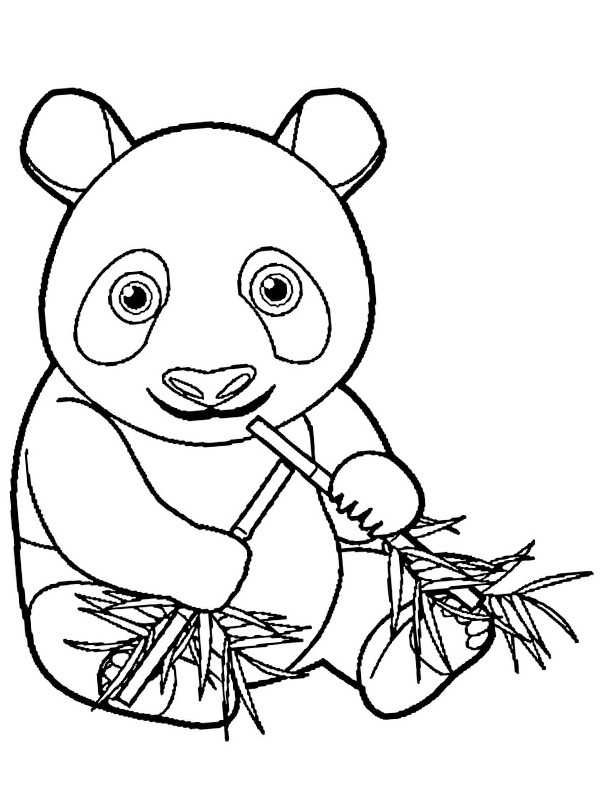 Panda spiser bambus Tegninger Panda spiser bambus Tegninger