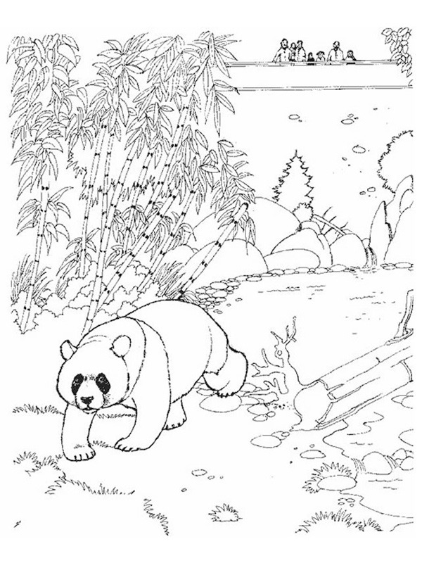 Panda i zoo Tegninger Panda i zoo Tegninger