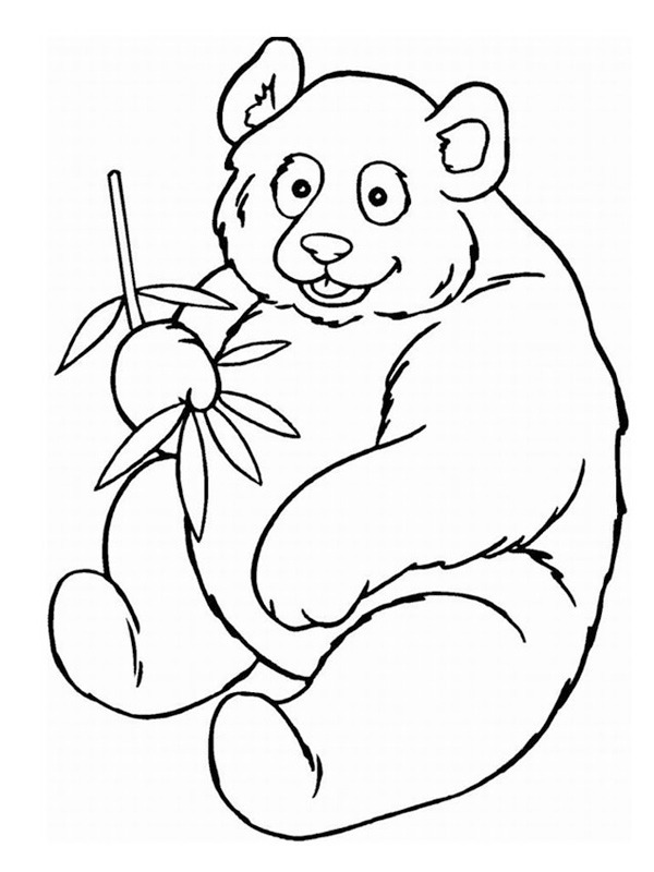 Panda Tegninger Panda Tegninger
