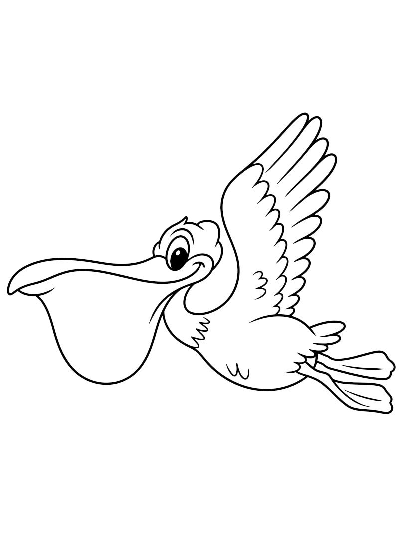 Pelikan Tegninger