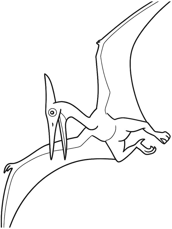 Pteranodon Tegninger