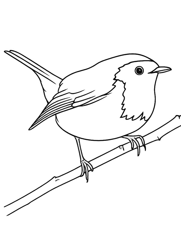 R&oslash;dhals Tegninger