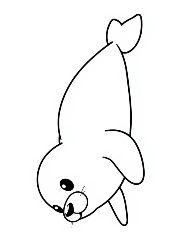 S&oslash;d s&aelig;l Tegninger