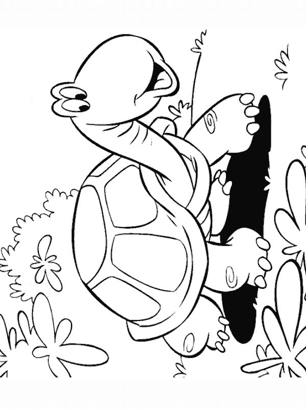 Skildpadde går tur Tegninger