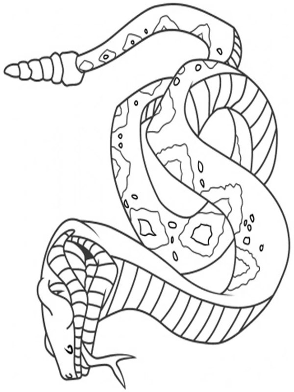 Slange Malebogsside