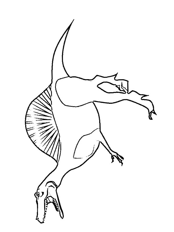 Spinosaurus Tegninger Spinosaurus Tegninger