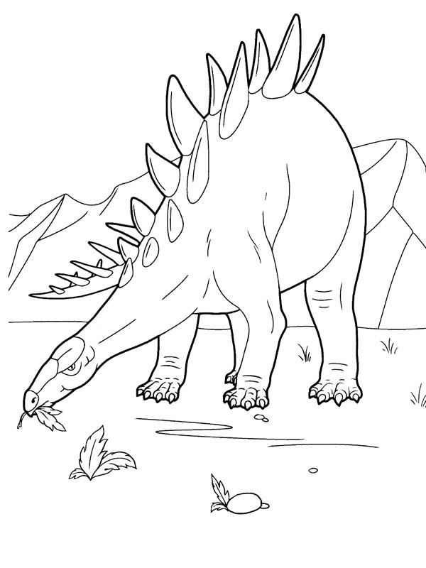 Stegosaurus Tegninger Stegosaurus Tegninger