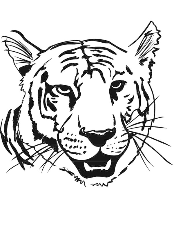 Tigerhovede Malebogsside