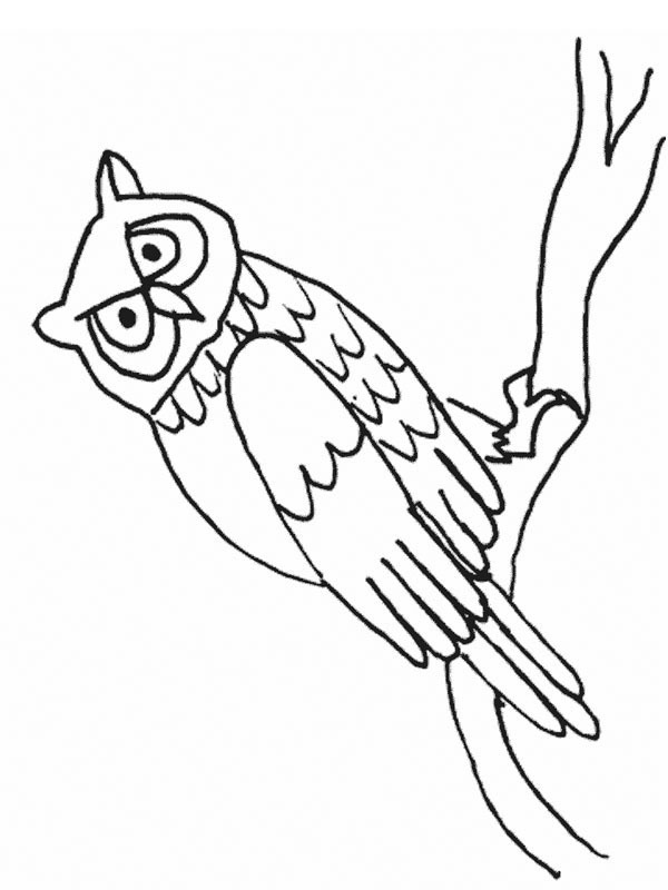 Ugle sidder på en gren Tegninger Ugle sidder på en gren Tegninger
