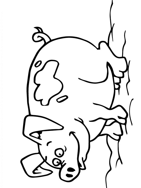 Gris Tegninger Gris Tegninger