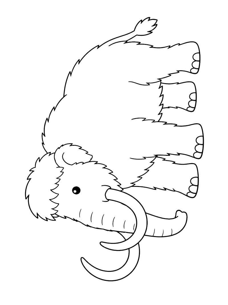Uldh&aring;ret mammut Tegninger